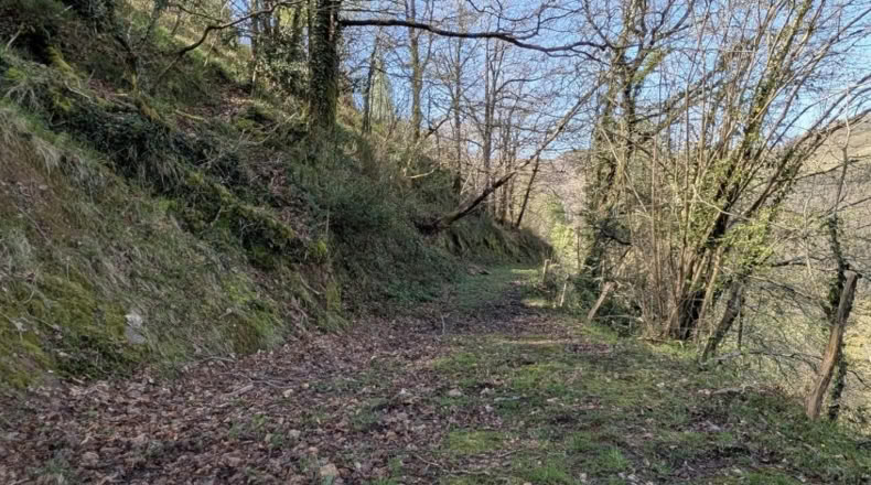 Cantabria - San Pedro del Romeral - 17500m2