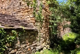 Foto 13