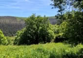 Finca rústica en venda a la España, San Pedro del Romeral, ref.: TR234848 foto