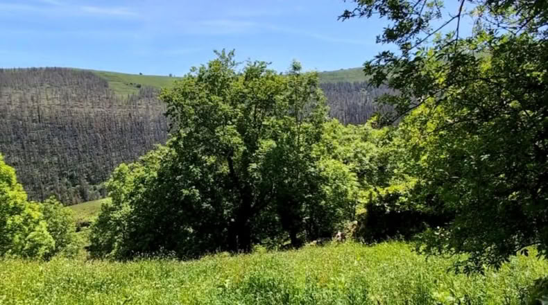 Cantabria - San Pedro del Romeral - 4770m2