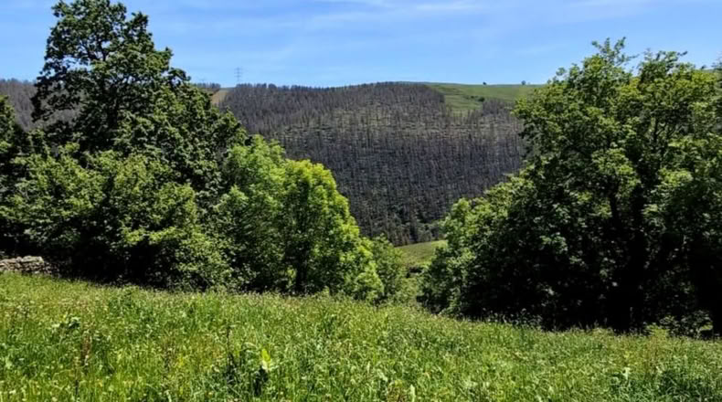 Cantabria - San Pedro del Romeral - 4770m2