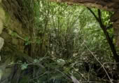 Finca rústica en venda a la España, San Pedro del Romeral, ref.: TR234848 foto