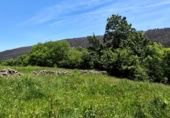 Finca rústica en venda a la España, San Pedro del Romeral, ref.: TR234848 foto