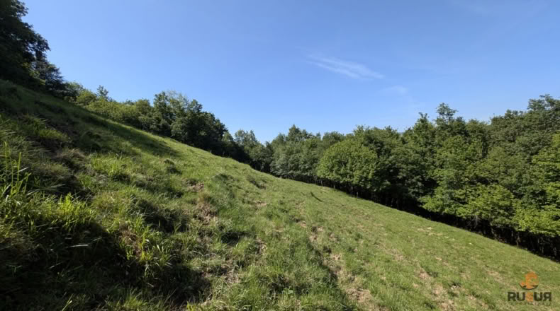 Cantabria - San Pedro del Romeral - 29500m2