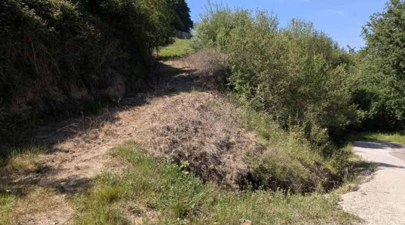 Cantabria - San Pedro del Romeral - 29500m2