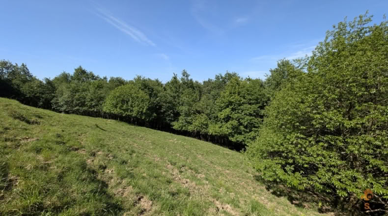 Cantabria - San Pedro del Romeral - 29500m2