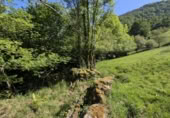 Finca rústica en venda a la España, San Pedro del Romeral, ref.: TR258567 foto