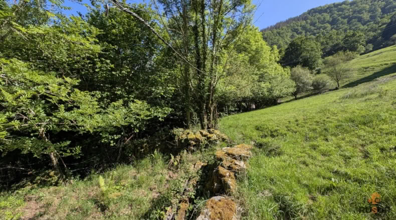 Cantabria - San Pedro del Romeral - 27500m2