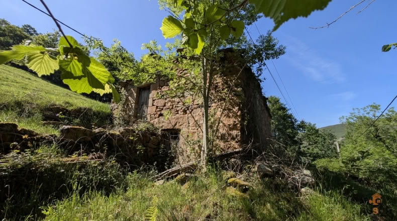 Cantabria - San Pedro del Romeral - 27500m2