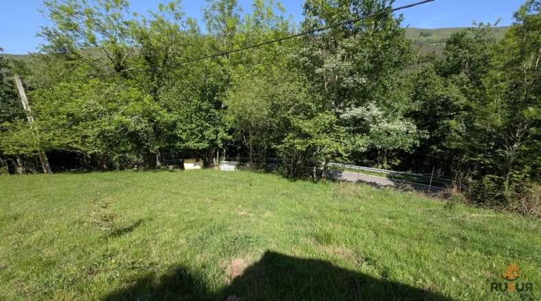 Cantabria - San Pedro del Romeral - 27500m2