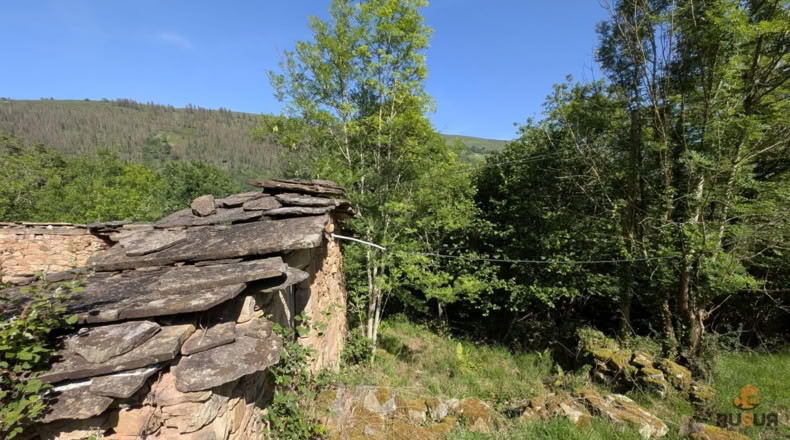 Cantabria - San Pedro del Romeral - 27500m2