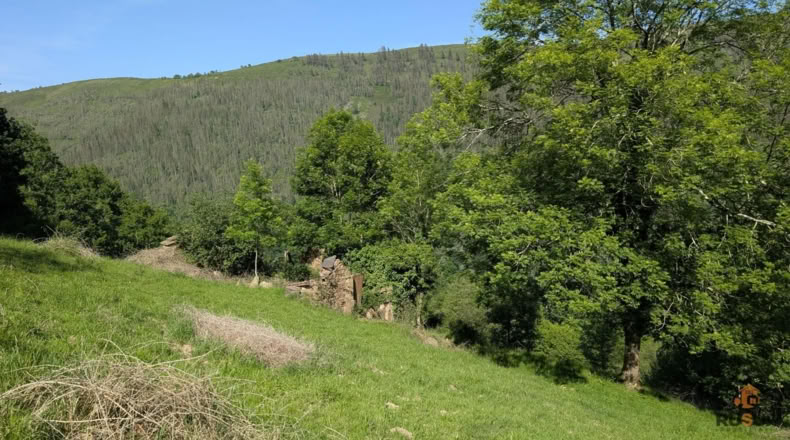 Cantabria - San Pedro del Romeral - 27500m2