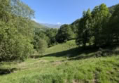 Finca rústica en venda a la España, San Pedro del Romeral, ref.: TR258567 foto