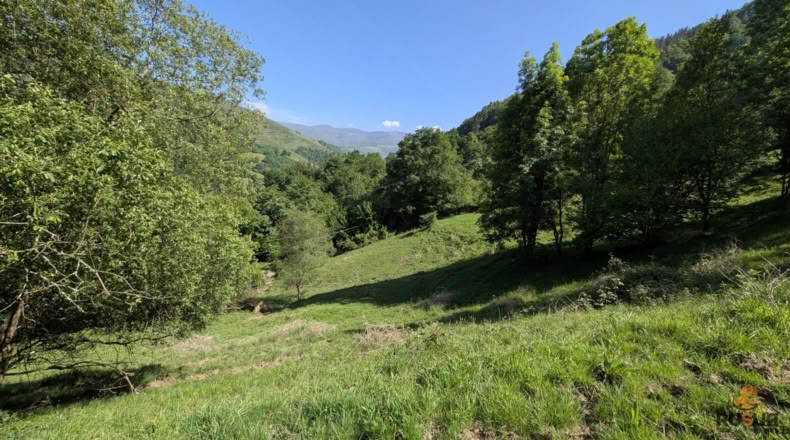 Cantabria - San Pedro del Romeral - 27500m2
