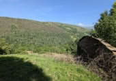 Finca rústica en venda a la España, San Pedro del Romeral, ref.: TR258567 foto