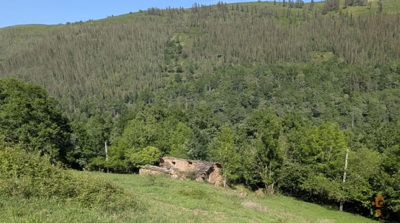 Cantabria - San Pedro del Romeral - 27500m2