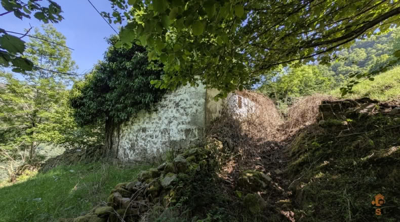 Cantabria - San Pedro del Romeral - 27500m2