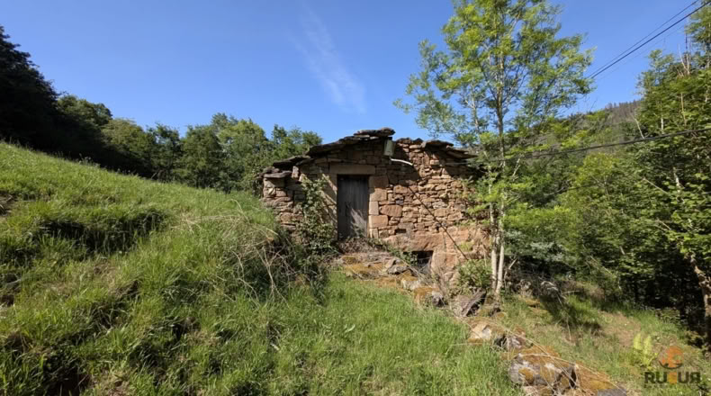 Cantabria - San Pedro del Romeral - 27500m2