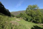 Finca rústica en venda a la España, San Pedro del Romeral, ref.: TR258567 foto