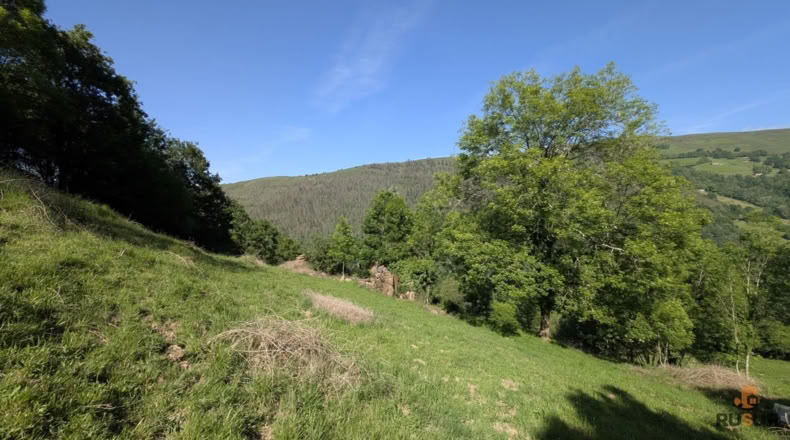 Cantabria - San Pedro del Romeral - 27500m2