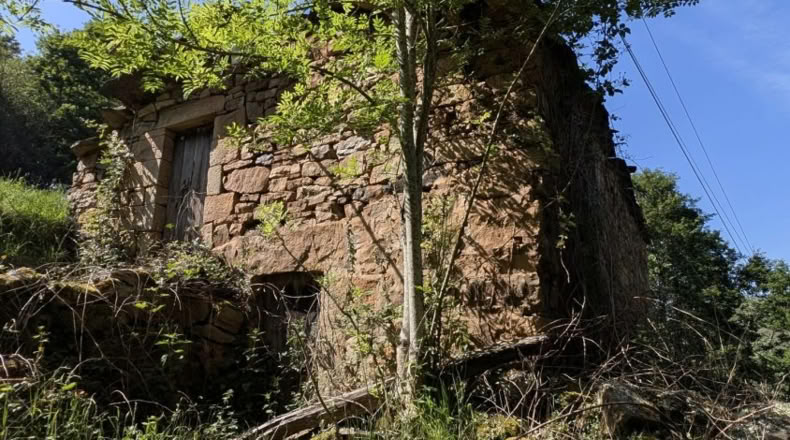 Cantabria - San Pedro del Romeral - 27500m2