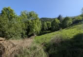 Finca rústica en venda a la España, San Pedro del Romeral, ref.: TR258567 foto