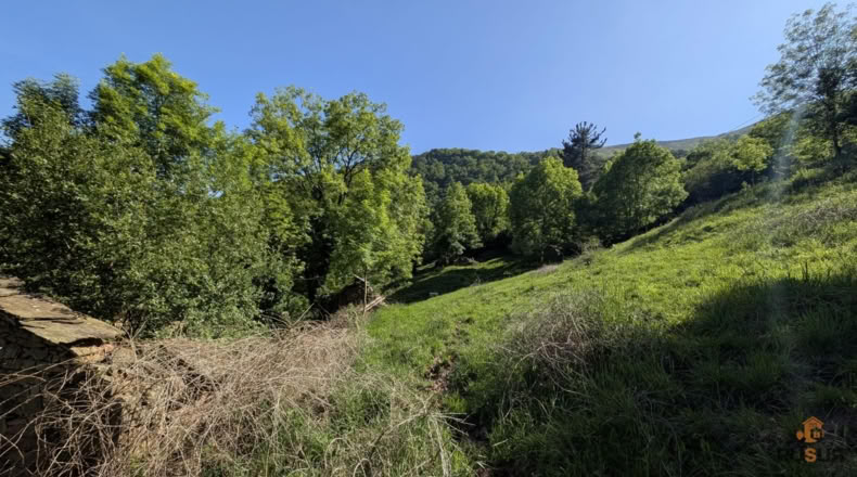 Cantabria - San Pedro del Romeral - 27500m2