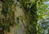 Finca rústica en venda a la España, San Pedro del Romeral, ref.: TR258567 foto