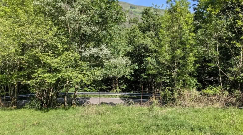Cantabria - San Pedro del Romeral - 27500m2