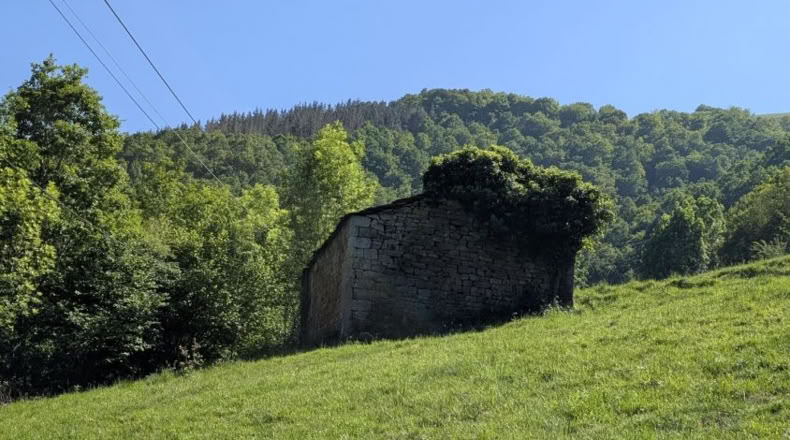Cantabria - San Pedro del Romeral - 27500m2