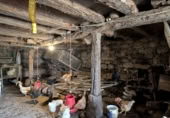 Finca rústica en venda a la España, Vega de Pas, ref.: TR258364 foto