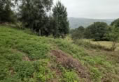 Finca rústica en venda a la España, Saro de Arriba, ref.: TR331270 foto
