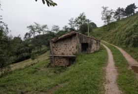 Foto 19