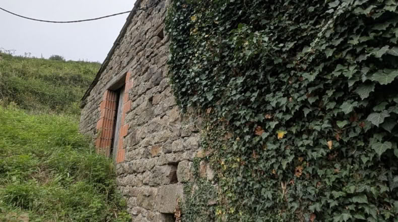 Cantabria - Saro - 16500m2