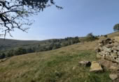 Rural estate for sale in San Miguel de Luena ref: TR333113 photo