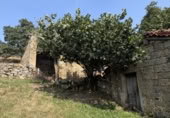 Rural estate for sale in San Miguel de Luena ref: TR333113 photo