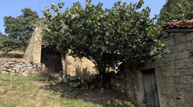 Cantabria - Resconorio - 15900m2