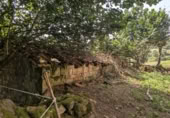 Rural estate for sale in San Miguel de Luena ref: TR333113 photo