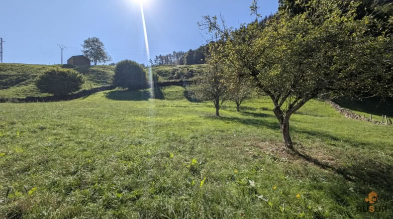 Cantabria - Vega de Pas - 5200m2