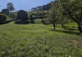 Xalet independent amb terreny en venda a la España, Vega de Pas, ref.: TR344053 foto