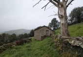 Finca rústica en venda a la España, San Pedro del Romeral, ref.: TR343060 foto