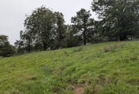 Foto 13