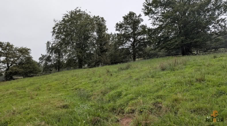 Cantàbria - San Pedro del Romeral - 8000m2