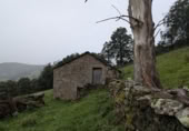 Finca rústica en venda a la España, San Pedro del Romeral, ref.: TR343060 foto