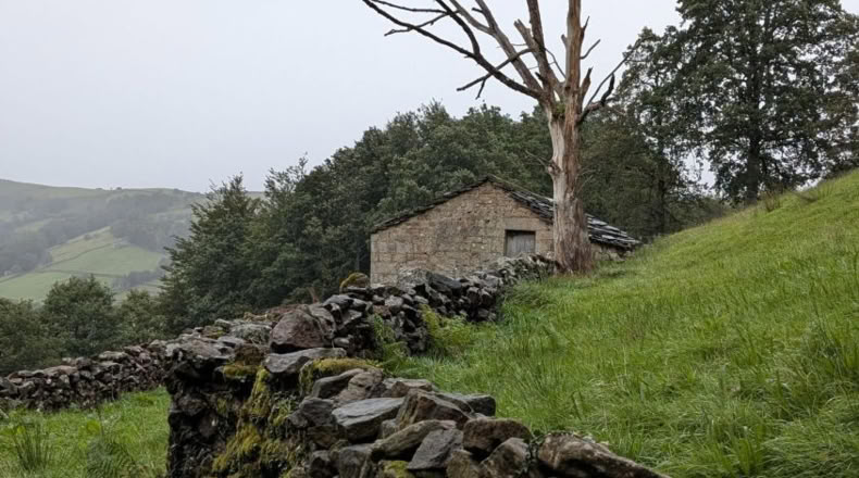 Cantàbria - San Pedro del Romeral - 8000m2