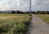 Sòl urbà en venda a la España, Vioño de Piélagos, ref.: TR349385 foto