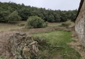 Finca rústica en venda a la España, San Pedro del Romeral, ref.: TR349417 foto