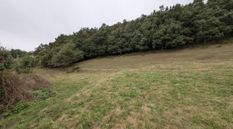 Cantabria - San Pedro del Romeral - 26800m2