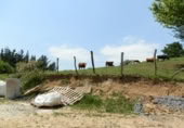 Finca rústica en venda a Aja ref.: TR351388 foto