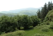 Finca rústica en venda a Aja ref.: TR351388 foto